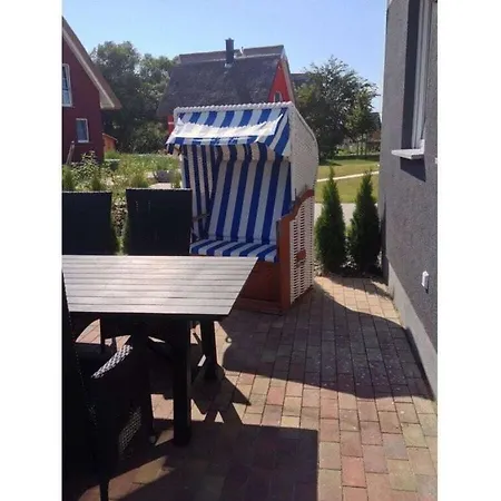 Starfish Comfortable