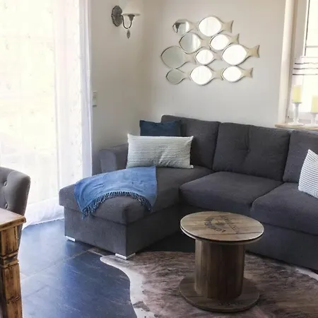 Starfish Comfortable